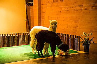 Bend工作室表示 登陆PS+订阅服务的老游戏将有奖杯系统